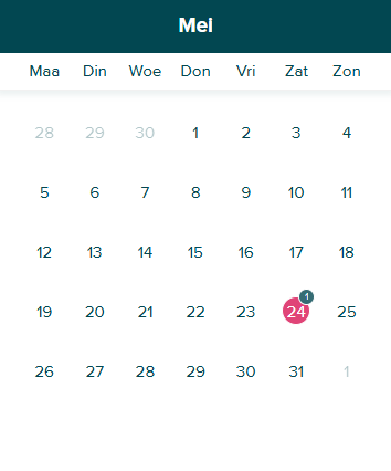 Adalace dashboard screenshot op homepage